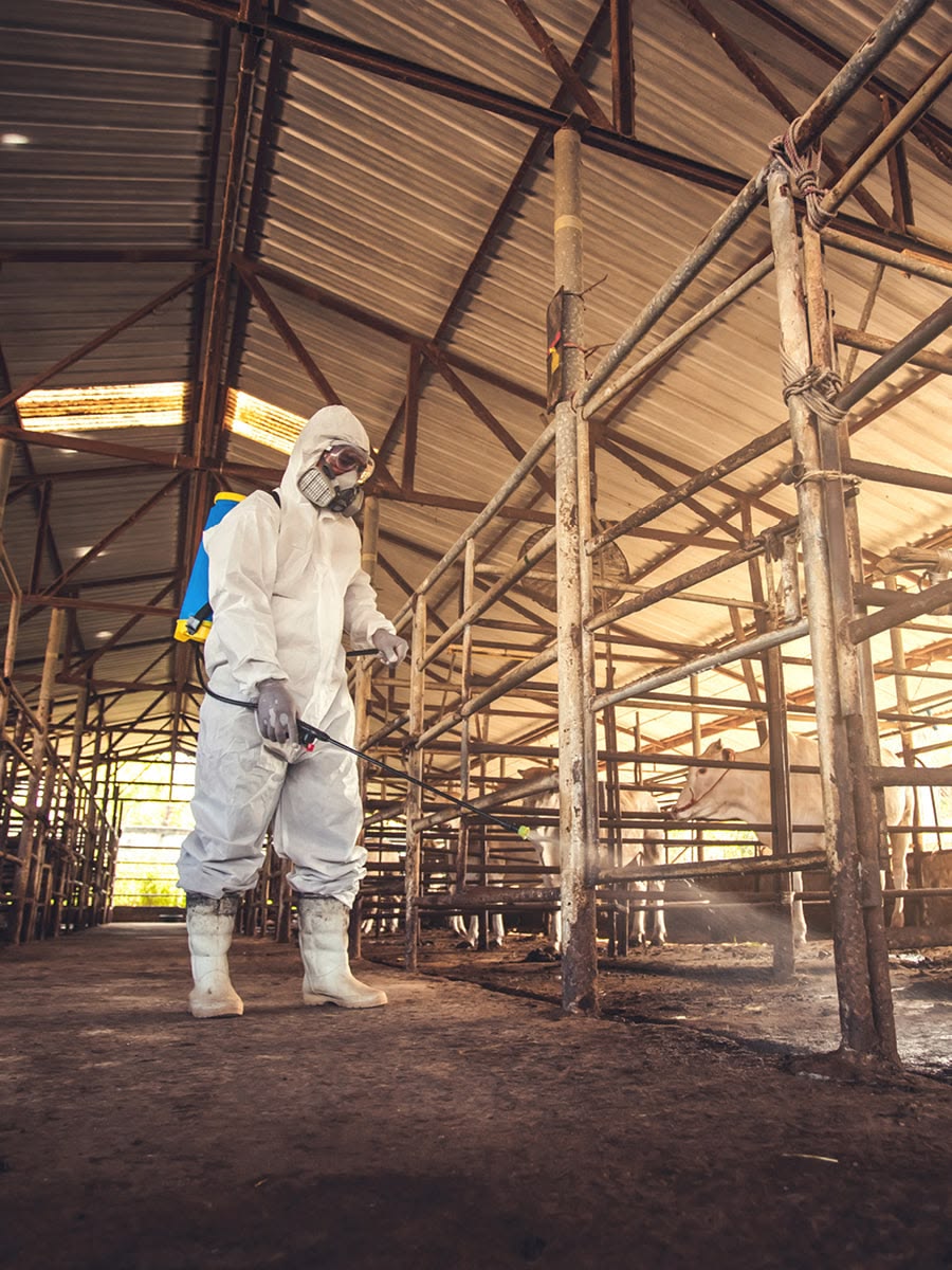 Hygienic poultry farm with biosecurity equipment